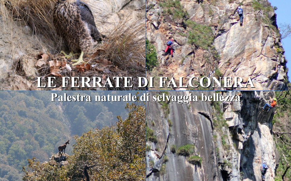«Le Ferrate di Falconera. Palestra naturale di selvaggia bellezza»: l’ultima pubblicazione di Mario Soster