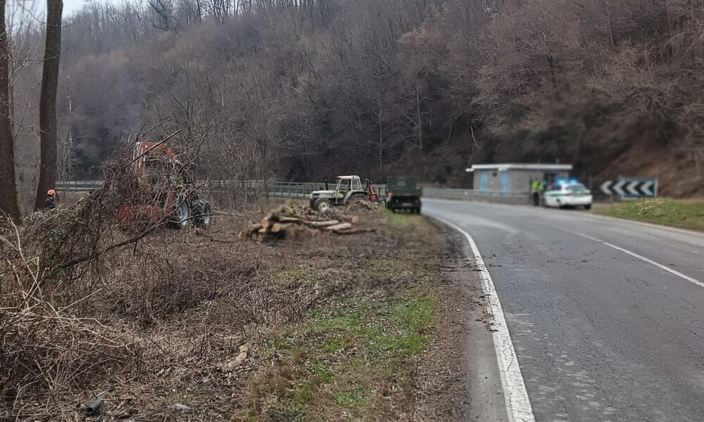 Abbattuti gli alberi pericolanti in regione Gianinetta