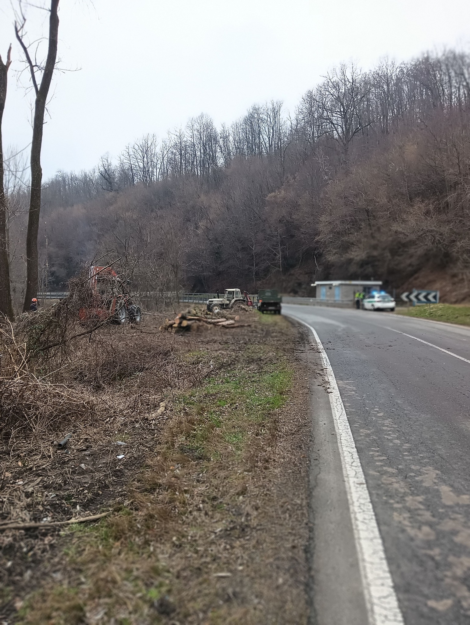 Abbattuti gli alberi pericolanti in regione Gianinetta