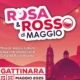 Rosa e Rosso di Maggio 2025, quasi al via la nuova edizione