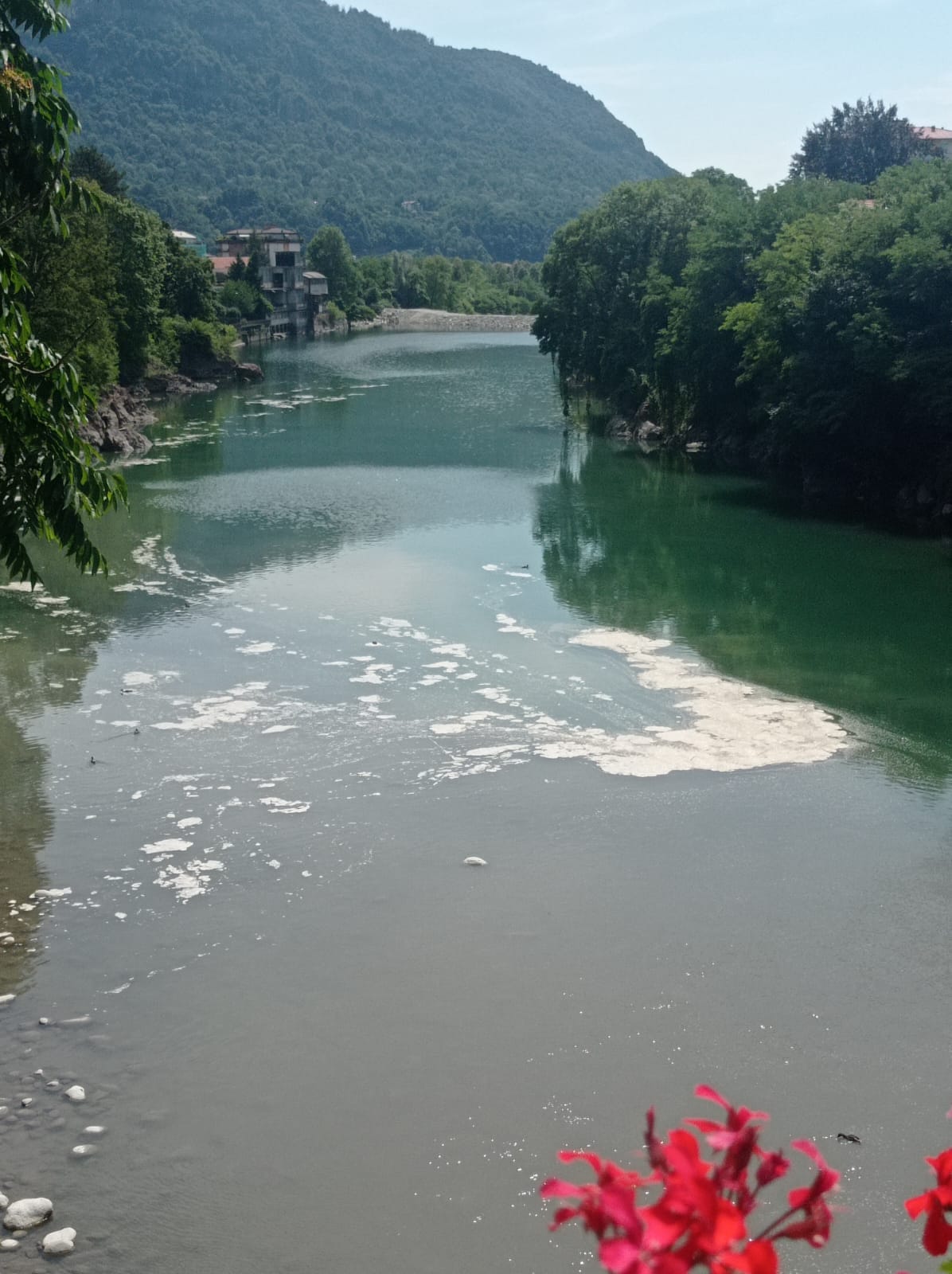 Schiuma nel fiume Sesia, ma l’Arpa rassicura: «E’ organica»