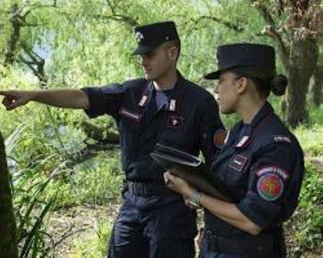 Abbandono incontrollato di rifiuti a Pray, deferita una 28enne