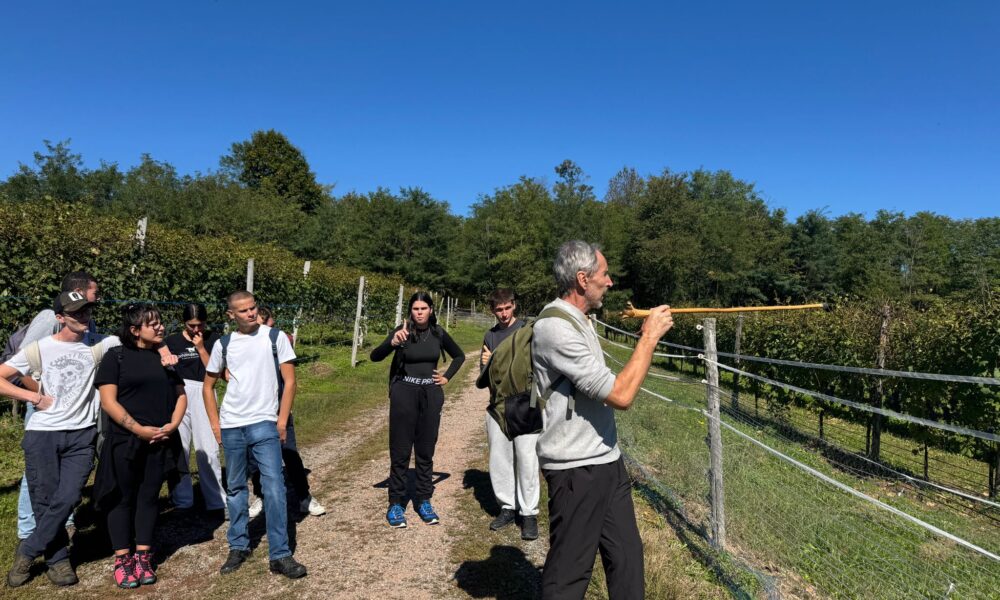 Il “Bonfantini” sulle colline del Boca