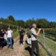 Il “Bonfantini” sulle colline del Boca