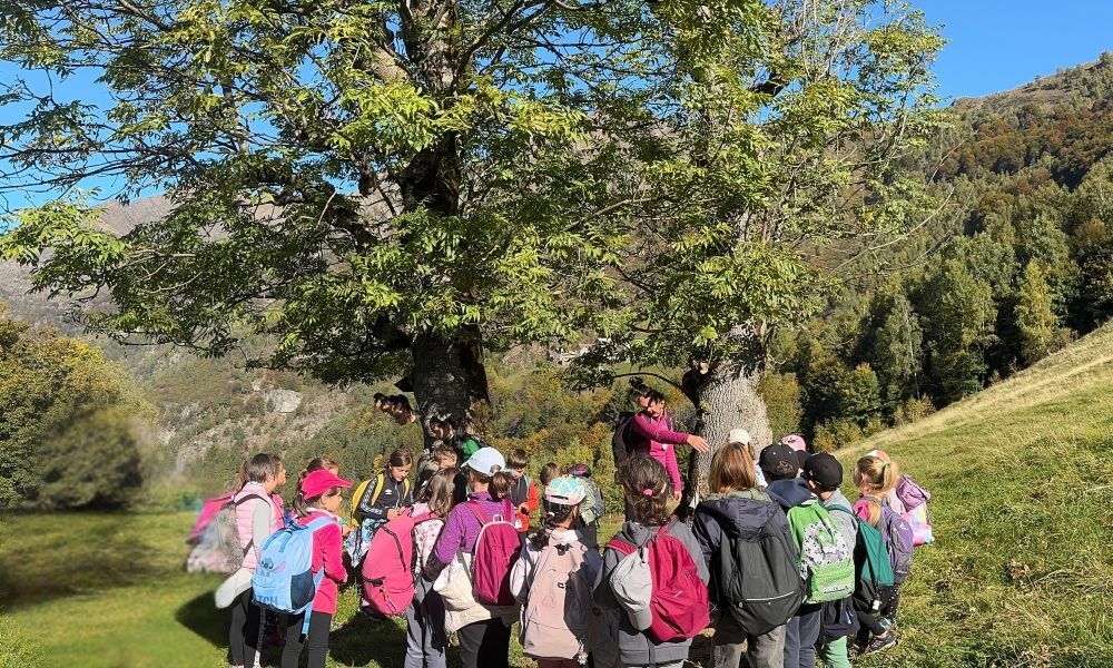 Passeggiata con la Terra: alla scoperta delle meraviglie naturali del paese