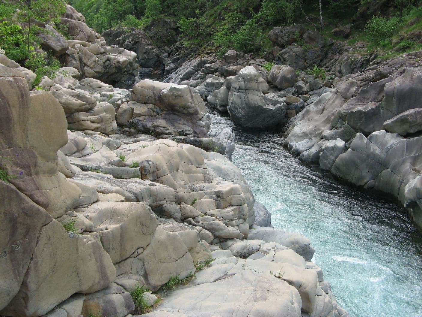 Giornata Nazionale Fai per le Scuole, protagonista quella di Balmuccia