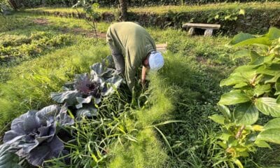 “Varallo Attiva”: il progetto di Unione Montana per i residenti ultra 65enni