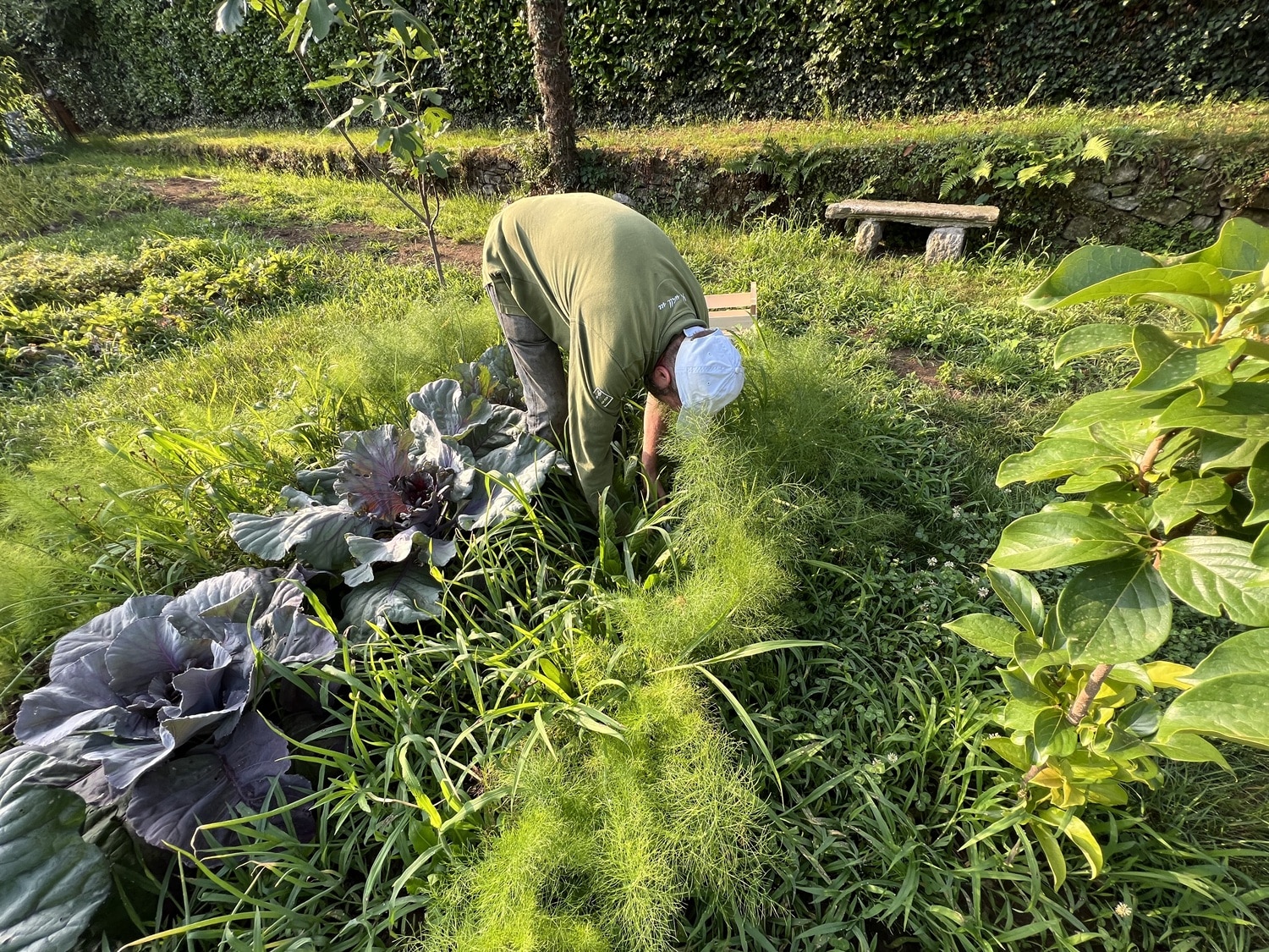 “Varallo Attiva”: il progetto di Unione Montana per i residenti ultra 65enni