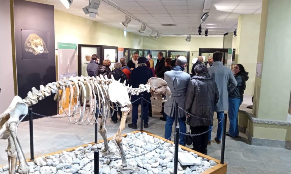 Nuove sale espositive e laboratori didattici: ha riaperto il Museo «Carlo Conti»