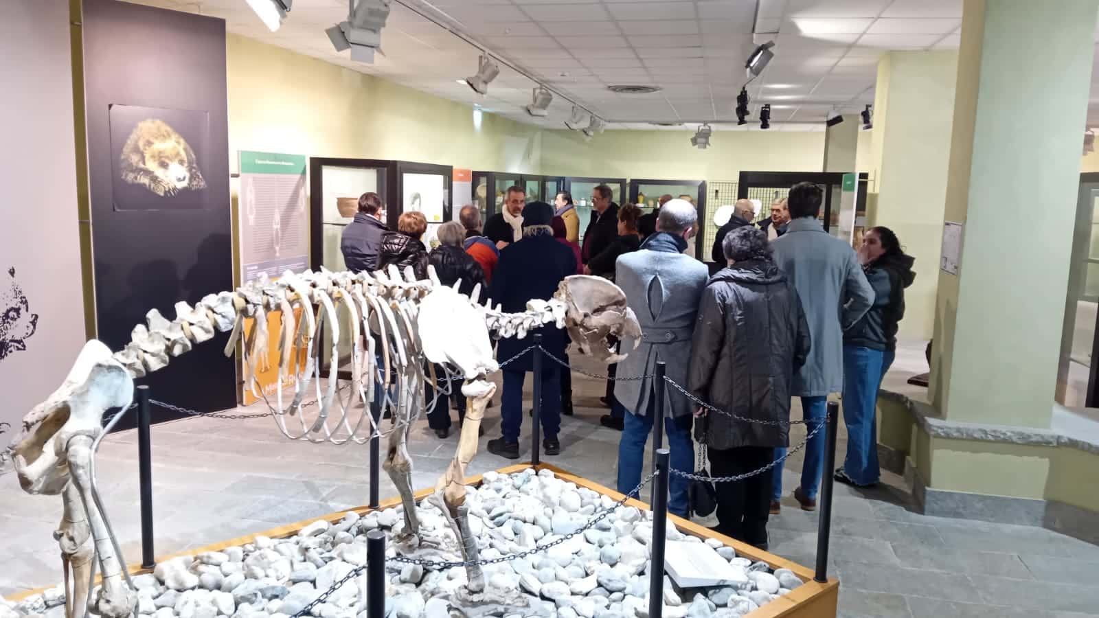 Nuove sale espositive e laboratori didattici: ha riaperto il Museo «Carlo Conti»