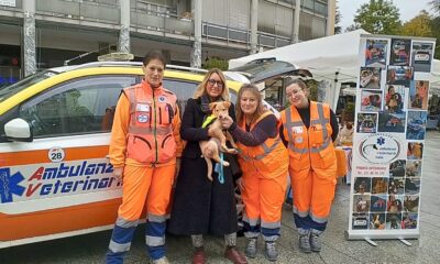 Bilancio di un anno con Ambulanze Veterinarie