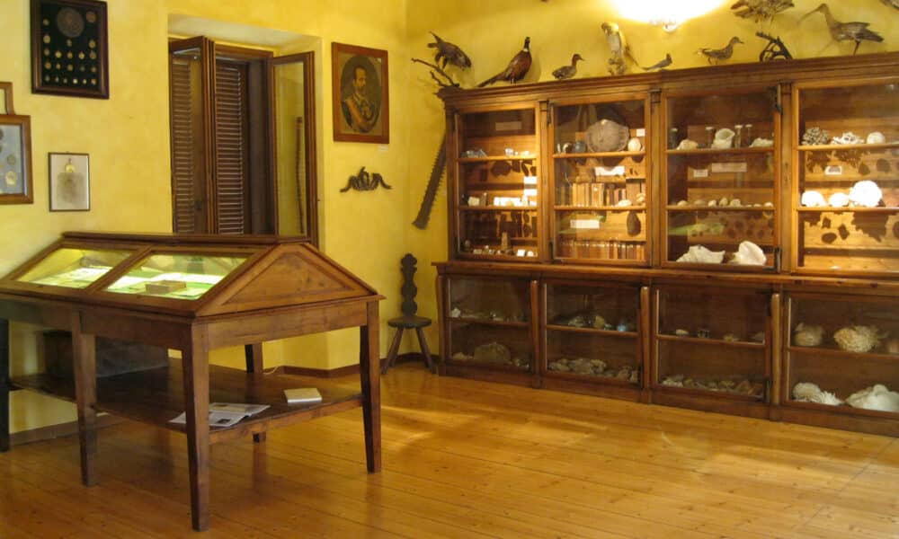 Il Museo Filippa «Luogo del Cuore» vince il bando 2025 del FAI