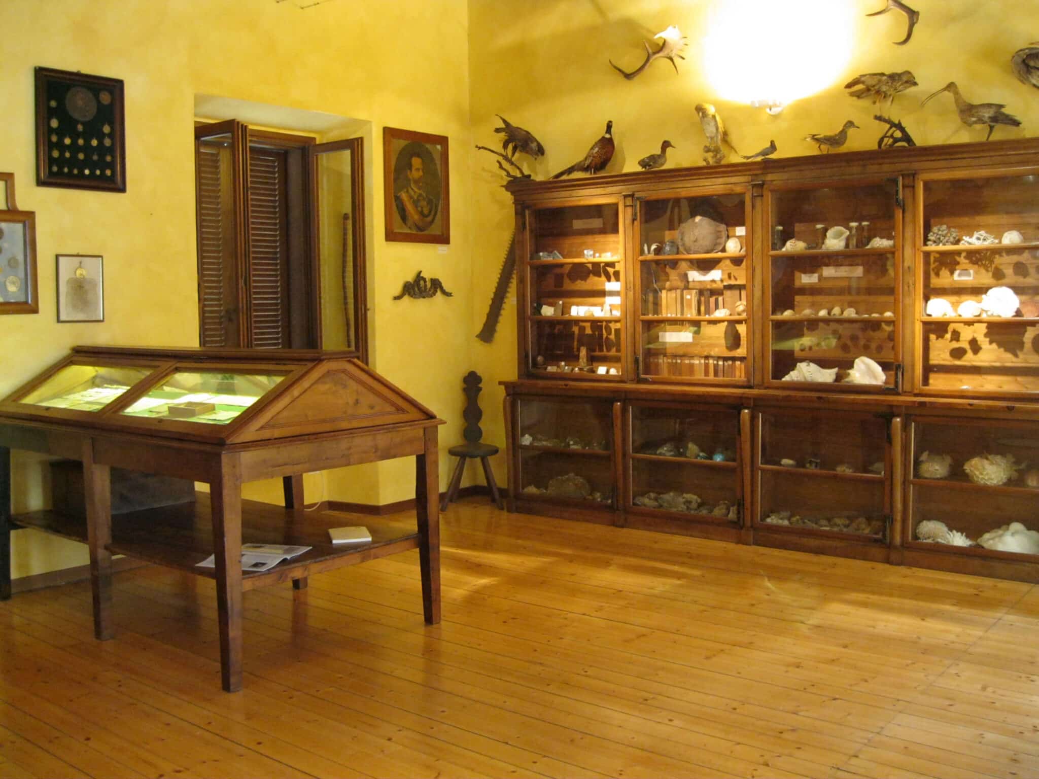 Il Museo Filippa «Luogo del Cuore» vince il bando 2025 del FAI