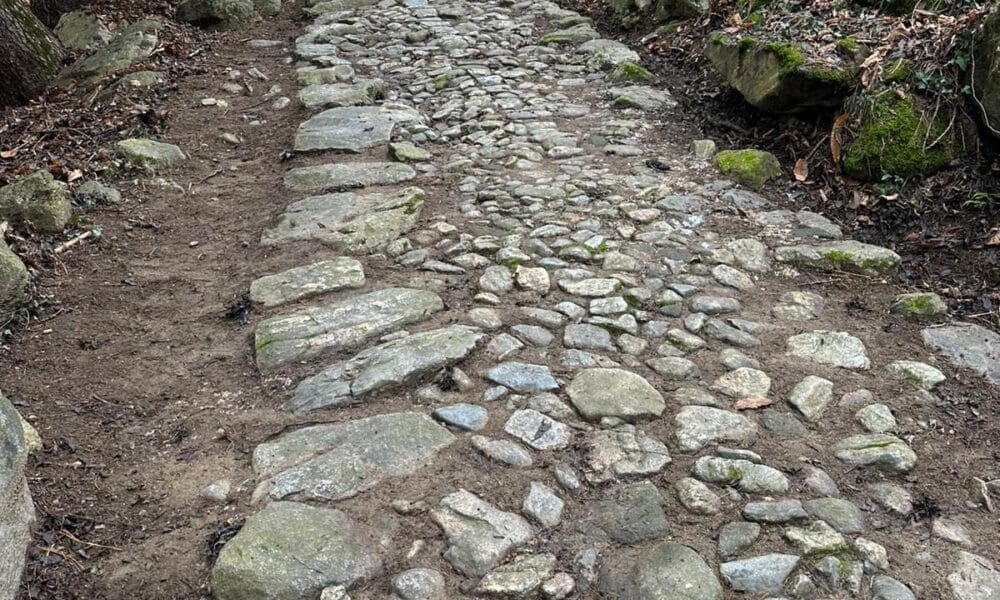 Mulattiera per Valmaggiore, operazione pulizia