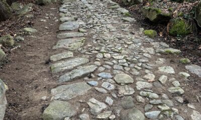 Mulattiera per Valmaggiore, operazione pulizia