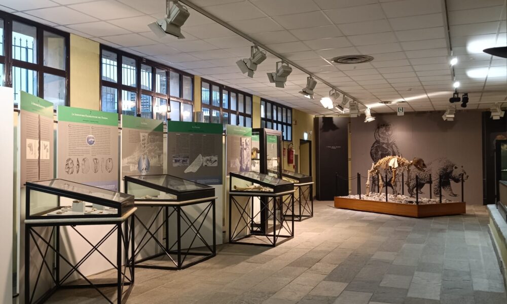 Nuove tariffe al Museo Conti