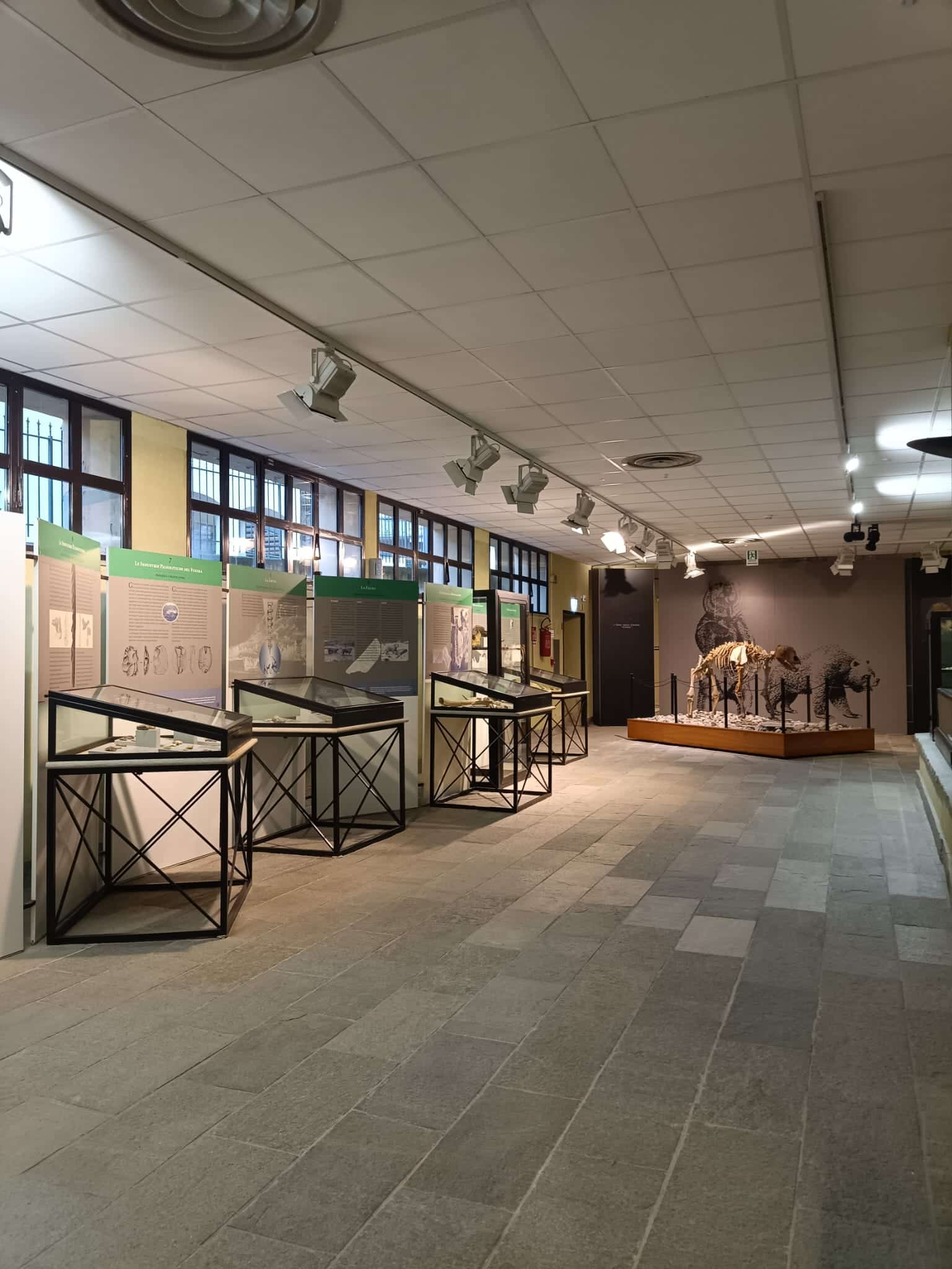 Nuove tariffe al Museo Conti