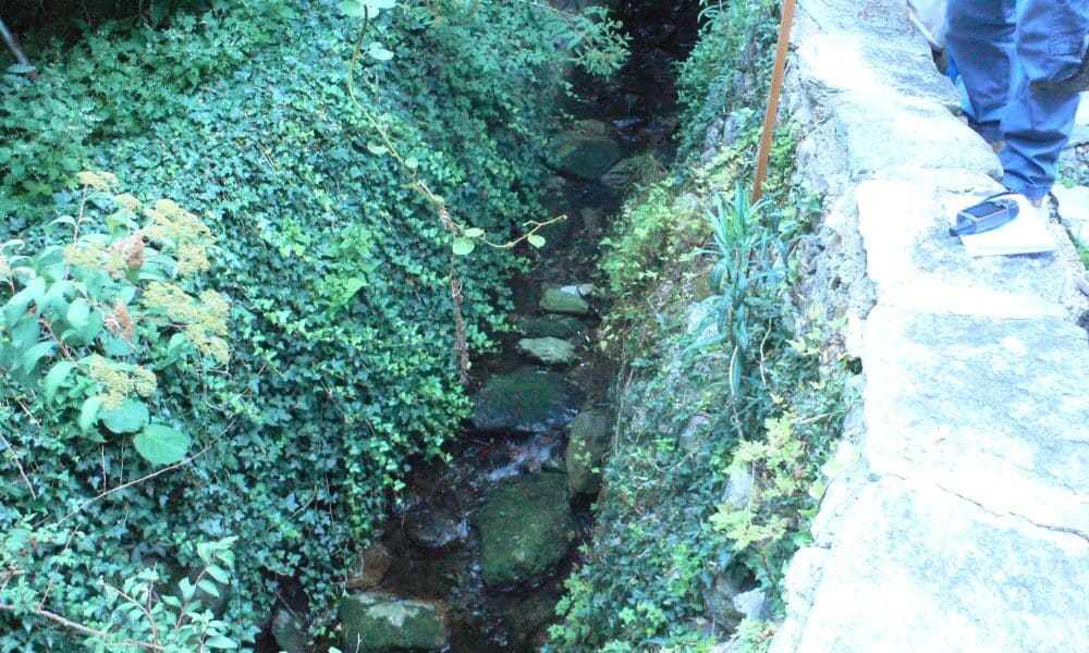 Rio Riale, da Crevola una nuova segnalazione: al Governatore Cirio