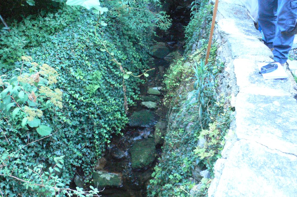 Rio Riale, da Crevola una nuova segnalazione: al Governatore Cirio