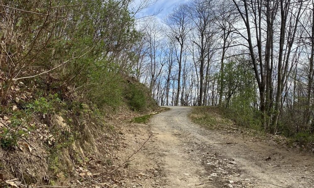 Sistemata la strada Maretti-Colma, si passa senza problemi