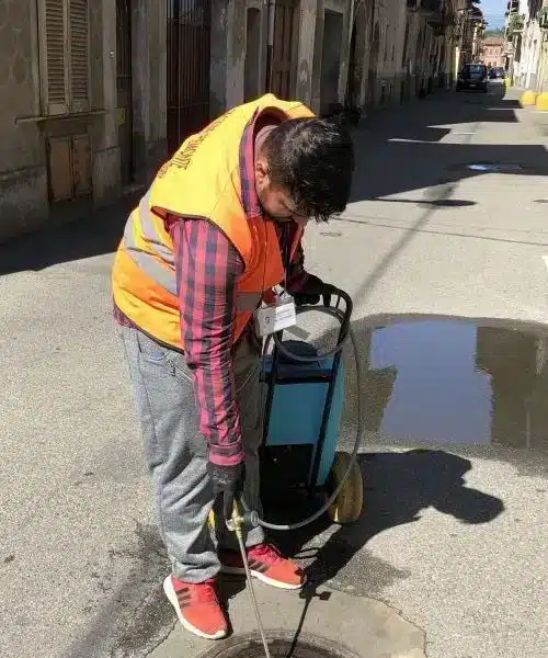 Il Comune di Gattinara informa la cittadinanza che ha preso ufficialmente il via la nuova campagna per il contenimento delle popolazioni di zanzare anche nella nostra Città, realizzata in collaborazione con IPLA – Istituto per le Piante da Legno e l’Ambiente – e con il supporto dei finanziamenti previsti dalla Regione Piemonte ai sensi della L.R. 75/95. Lo staff tecnico incaricato del monitoraggio e del coordinamento delle attività è già operativo sul territorio, mentre nelle prossime settimane entrerà in servizio anche la ditta specializzata che si occuperà degli interventi di disinfestazione nelle aree pubbliche. L’obiettivo della campagna è quello di limitare la proliferazione delle zanzare, riducendo i disagi per la popolazione e prevenendo possibili rischi sanitari legati alla diffusione di virus trasmessi dagli insetti, come il West Nile Virus, veicolato in particolare dalla zanzara comune (culex). Come ogni anno, accanto agli interventi programmati dal Comune, sarà fondamentale anche la collaborazione dei cittadini. Le zanzare, infatti, si riproducono anche in piccolissimi ristagni d’acqua presenti nelle aree private: sottovasi, bidoni negli orti, grondaie o contenitori lasciati all’aperto possono trasformarsi rapidamente in luoghi ideali per la deposizione delle uova. Per questo motivo l’Amministrazione comunale invita tutti ad adottare alcuni semplici ma efficaci accorgimenti: svuotare frequentemente sottovasi e contenitori dove può accumularsi acqua; coprire bidoni e cisterne con reti zanzariere; evitare ristagni nei cortili, negli orti e nei giardini; mantenere pulite grondaie e tombini e cambiare spesso l’acqua nelle ciotole degli animali domestici. Piccole azioni quotidiane che, se condivise da tutti, possono contribuire in modo significativo a contenere la presenza delle zanzare sul territorio. Nei prossimi giorni saranno diffuse ulteriori comunicazioni operative relative alla programmazione degli interventi larvicidi e adulticidi, non appena le condizioni climatiche consentiranno una pianificazione puntuale delle attività. «La lotta alle zanzare – sottolineano il Sindaco Maria Vittoria Casazza e il Vicesindaco Daniele Baglione – è un’attività importante non soltanto per il comfort dei cittadini durante il periodo estivo, ma soprattutto per la tutela della salute pubblica. Anche quest’anno il Comune di Gattinara aderisce, come da anni, a questo progetto territoriale, consapevole che la prevenzione rappresenti l’arma più efficace. Gli interventi sulle aree pubbliche sono fondamentali, ma è necessaria anche la collaborazione dei cittadini nelle aree private per essere più efficaci. Bastano davvero piccoli gesti per ottenere grandi risultati».