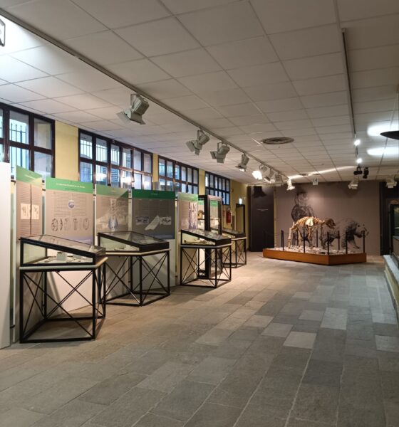 Dalla Regione 29.484 euro per il Museo «Carlo Conti»