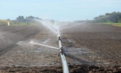 Agricoltura, 1 milione di euro per il ripristino ecologico degli ambienti naturali