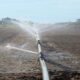 Agricoltura, 1 milione di euro per il ripristino ecologico degli ambienti naturali