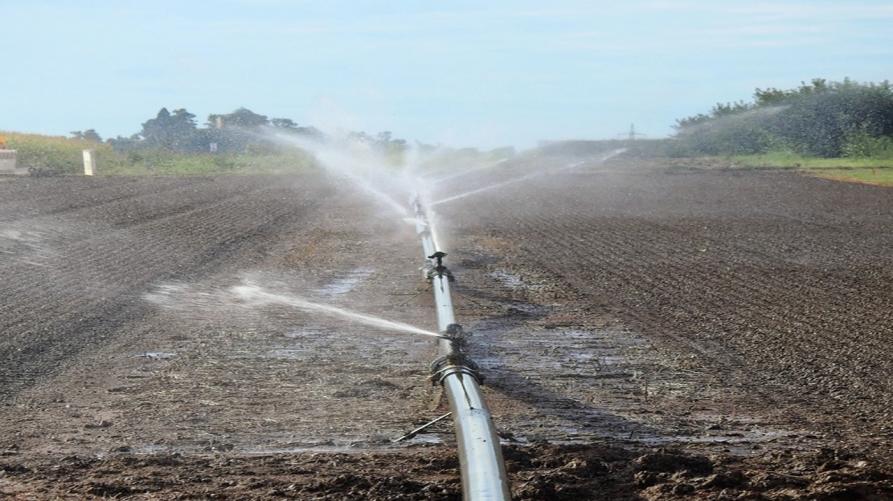 Agricoltura, 1 milione di euro per il ripristino ecologico degli ambienti naturali