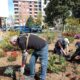 Dal progetto di giardinaggio una borsa lavoro per un utente del Nucleo autismo della Psichiatria
