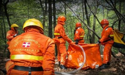 Incendi boschivi, accordo tra Regione e Carabinieri Forestali