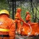 Incendi boschivi, accordo tra Regione e Carabinieri Forestali