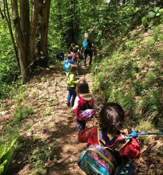 Scuola Infanzia all’Aperto: ricominciano le lezioni nel bosco!