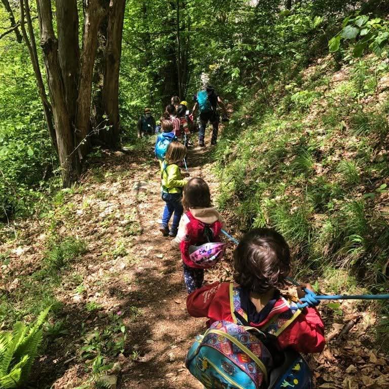 Scuola Infanzia all’Aperto: ricominciano le lezioni nel bosco!