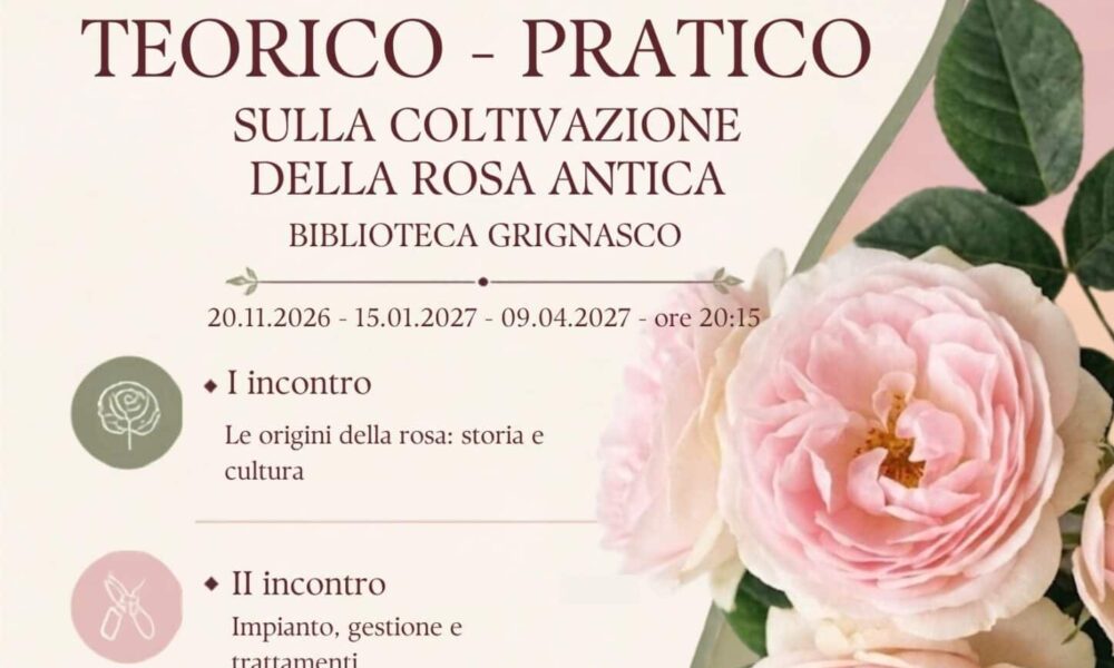 A Grignasco un ciclo di incontri sulle rose antiche