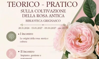 A Grignasco un ciclo di incontri sulle rose antiche