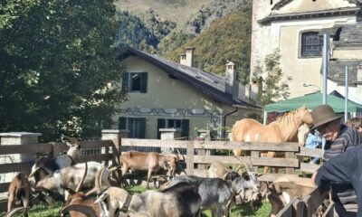 Fiere agricole valsesiane, dal 2027 nel calendario regionale