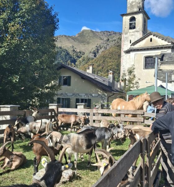 Fiere agricole valsesiane, dal 2027 nel calendario regionale