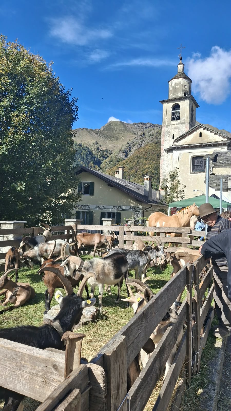 Fiere agricole valsesiane, dal 2027 nel calendario regionale
