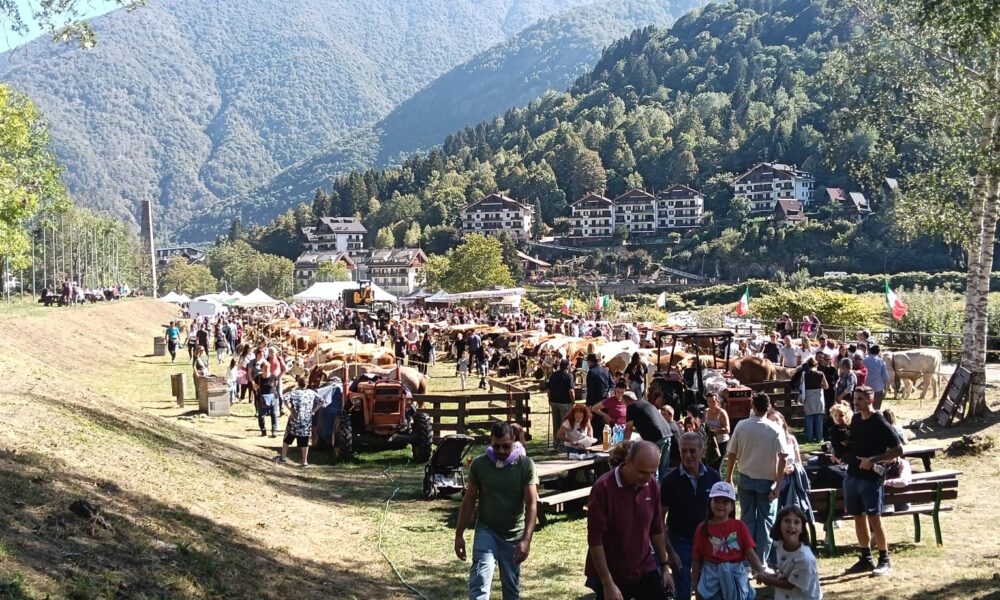 Il bel tempo, con clima assolutamente mite per essere fine settembre, ha favorito la partecipazione di visitatori alle due Fiere dedicate a San Michele